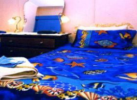 Bay Beach Cottage - Tourism Canberra 0