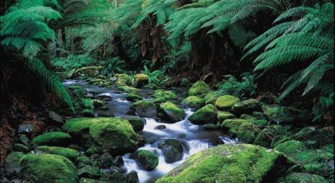 Lorne Getaways - Tourism Canberra 1