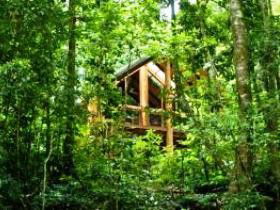 Fur'N'Feathers Rainforest Tree Houses - Tourism Canberra 0