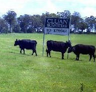 Cluan Homestead - Tourism Canberra