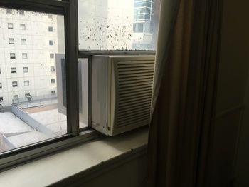 Nomads Westend Backpackers - Hostel - Tourism Canberra 25