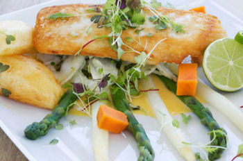 Caves Beachside Hotel - Tourism Canberra 14