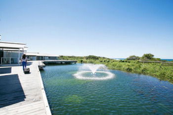 Caves Beachside Hotel - Tourism Canberra 42