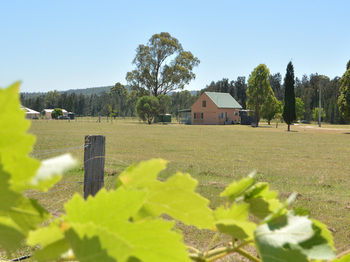 Madigan Wine Country Cottages - Tourism Canberra 94