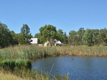 Madigan Wine Country Cottages - Tourism Canberra 95