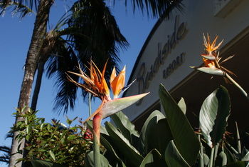 Beachside Resort - Kawana Waters - Tourism Canberra 4