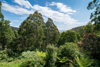 A Camelot Tower & Penthouse - Tourism Canberra 46
