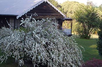 Madison's Mountain Retreat - Tourism Canberra 3