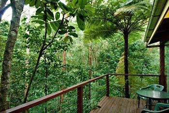 Kondalilla Eco Resort - Tourism Canberra 2