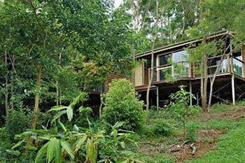Kondalilla Eco Resort - Tourism Canberra 22
