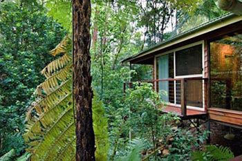 Kondalilla Eco Resort - Tourism Canberra 23