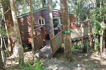Kondalilla Eco Resort - Tourism Canberra 27
