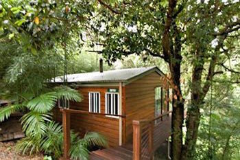 Kondalilla Eco Resort - Tourism Canberra 35