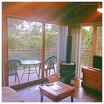 Kondalilla Eco Resort - Tourism Canberra 89