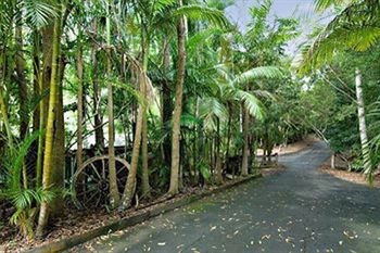 Kondalilla Eco Resort - Tourism Canberra 94