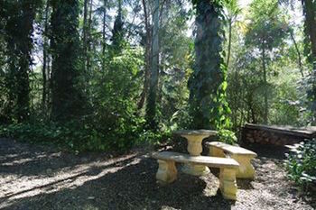 Kondalilla Eco Resort - Tourism Canberra 98