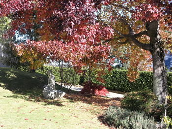 Silvermere - Tourism Canberra 34