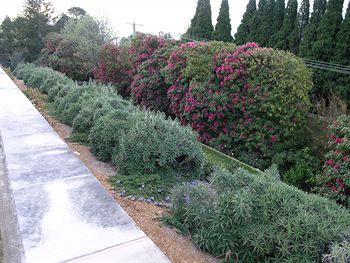 Silvermere - Tourism Canberra 0