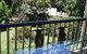 House Of Laurels - thumb 8