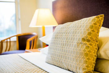 Retreat At Wisemans - Tourism Canberra 13