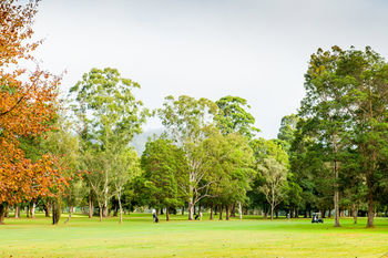 Retreat At Wisemans - Tourism Canberra 17