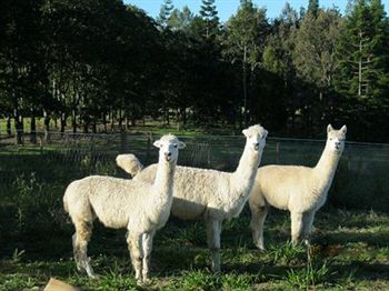 Beerwah QLD Tourism Canberra