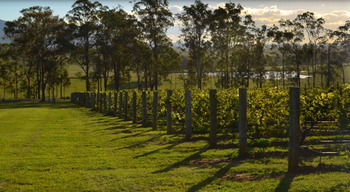 H Boutique Hotel - Tourism Canberra 34