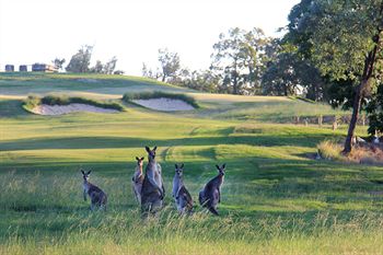 Riverside Oaks Golf Resort - Tourism Canberra 1