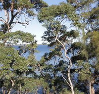 The Edgewater Bed amp Breakfast - Tourism Canberra