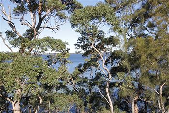 The Edgewater Bed & Breakfast - Tourism Canberra 0
