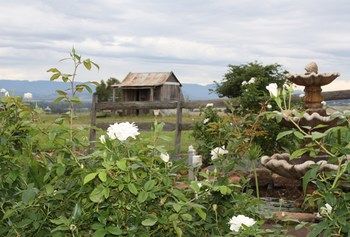 Strathearn Park Lodge - Tourism Canberra 16