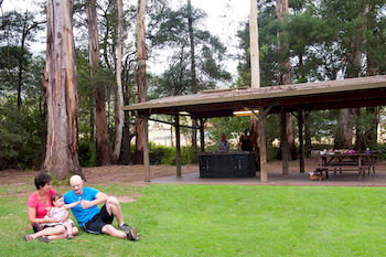 BIG4 Yarra Valley Holiday Park - Tourism Canberra 0