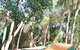 BIG4 Yarra Valley Holiday Park - thumb 8