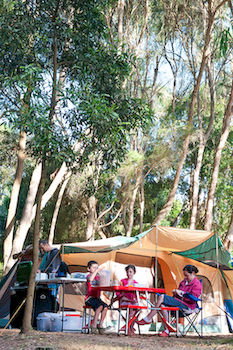 BIG4 Yarra Valley Holiday Park - Tourism Canberra 8
