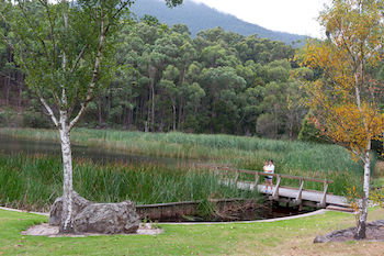 BIG4 Yarra Valley Holiday Park - Tourism Canberra 12
