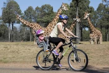 Zoofari Lodge, Taronga Western Plains Zoo - Tourism Canberra 7