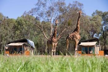 Zoofari Lodge, Taronga Western Plains Zoo - Tourism Canberra 13