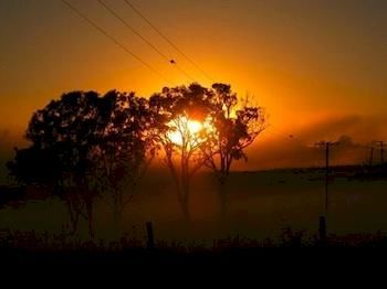 Lochinvar House B&B - Tourism Canberra 2
