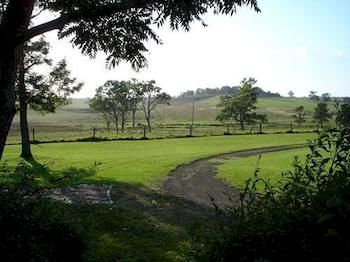 Lochinvar House B&B - Tourism Canberra 8