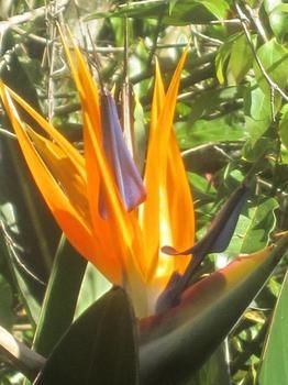 Sunshine Valley Cottages - Tourism Canberra 1