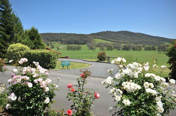 Langbrook Estate Cottages - Tourism Canberra 15