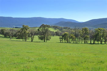 Langbrook Estate Cottages - Tourism Canberra 16