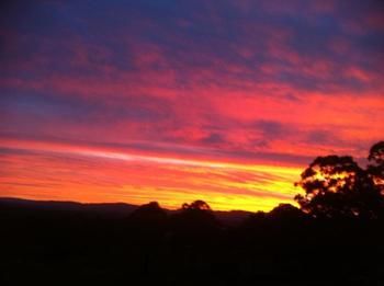 Rothbury Escape - Tourism Canberra 11