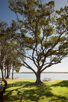 Langley Park Apartments - Tourism Canberra 5