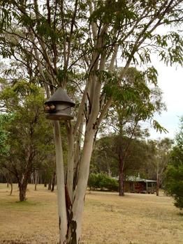 Buffs At Pokolbin - Tourism Canberra 2