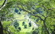 Maleny Tropical Retreat Balinese B&b - thumb 8
