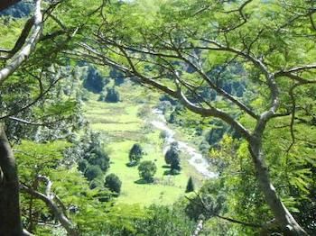 Maleny Tropical Retreat Balinese B&b - Tourism Canberra 8