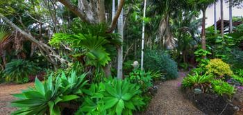 Maleny Tropical Retreat Balinese B&b - Tourism Canberra 11