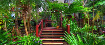 Maleny Tropical Retreat Balinese B&b - Tourism Canberra 14