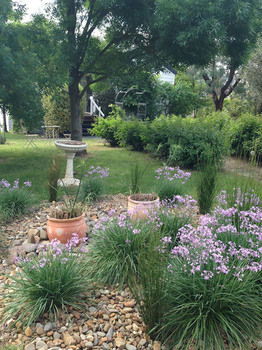 Yarraglen BnB - Tourism Canberra 19